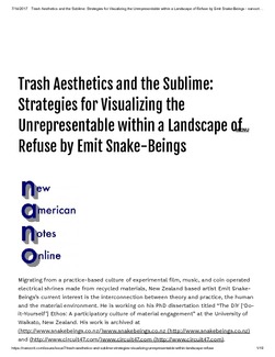 Trash Aesthetics And The Sublime Strategies For Visualising The Unrepresentable Within A Landscape Of Refuse